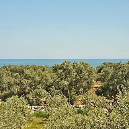 Sleeps 8 Pool Air Con Wifi Villa Monopoli
